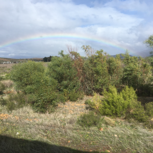 Rainbow across Plains
